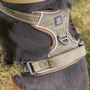 High Quality No Pull Dog Harness - PAWSHTAILS