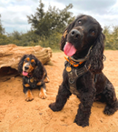 High Quality No Pull Dog Harness - PAWSHTAILS