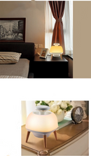 Lampada repellente per zanzare ultravioletta fisica silenziosa