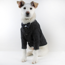 Wedding Dress Pet Suit Gentleman Clothes