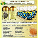 Cordyceps Militaris Capsule - Starttech Online Market